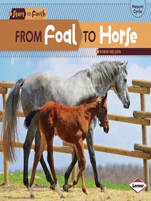 cover image of From Foal to Horse